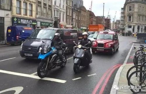 城市森林里的小精灵,森林中迷人的小精灵