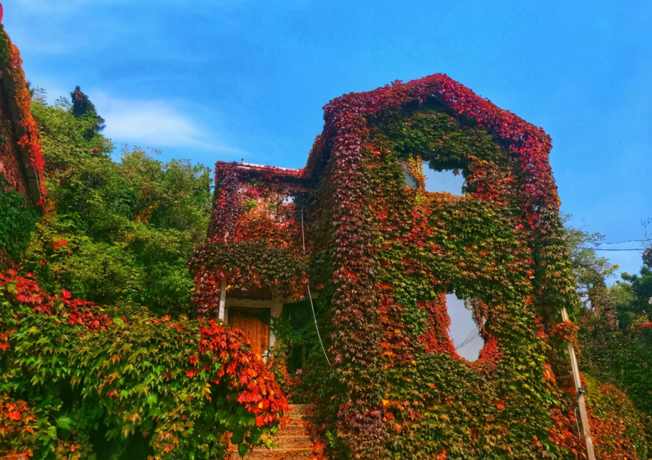 大连游玩街区,大连旅游街区推荐名单