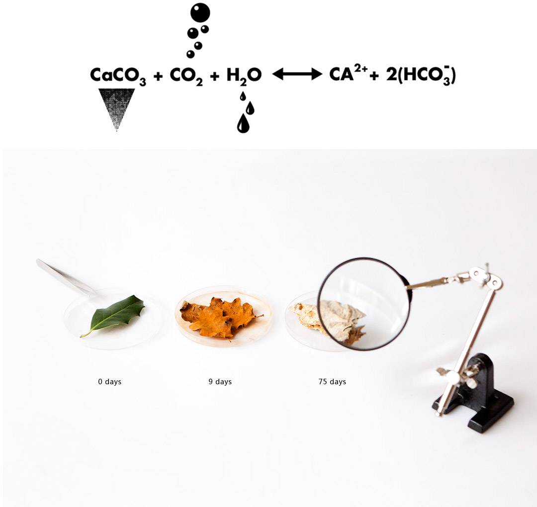 鐭虫潗3d鎵撳嵃,3d鎵撳嵃鐭虫潗