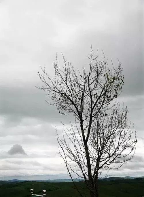 军人军属政策,对军人的尊重