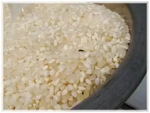 为什么大米夏天生虫子,大米在什么情况下会生虫子