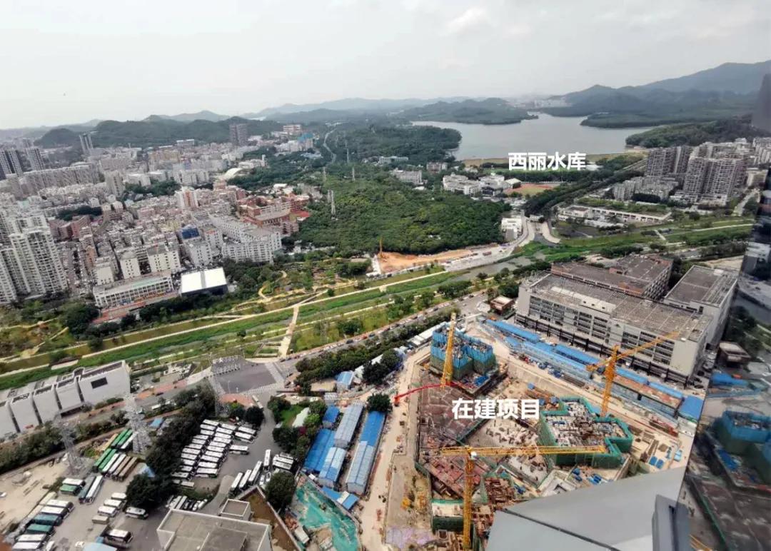 西丽湖国际科教城融合创新中心,西丽湖国际科教城石壁龙片区