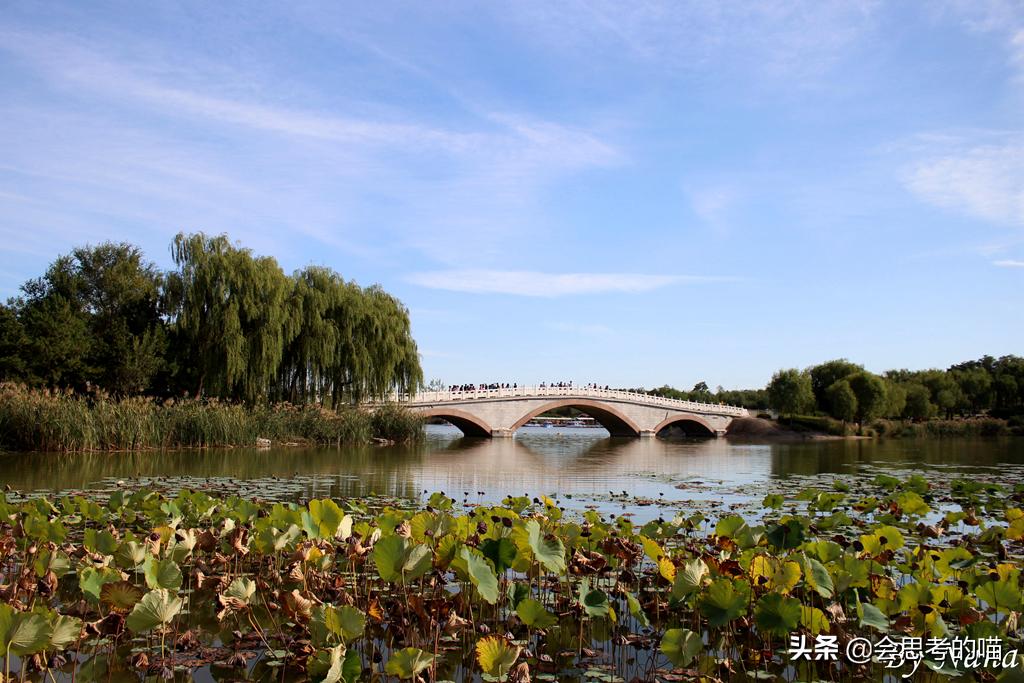 大兴南海子公园还开放吗,南海子公园现在开门了吗