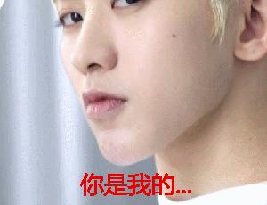 必买的日系彩妆,15款平价眼影