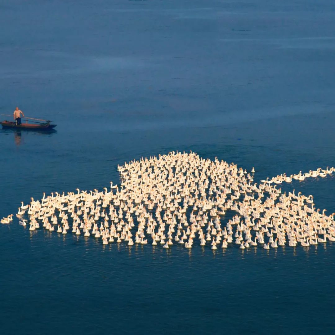 淮安和运河的关系,淮安与运河