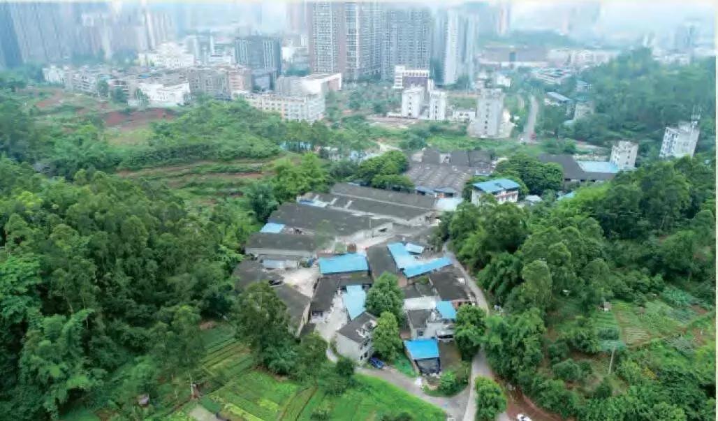 乐山市生态文明,庆祝新中国成立70周年特辑宣讲