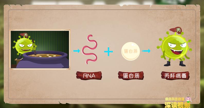 纹身会得丙肝吗,纹身会得丙肝