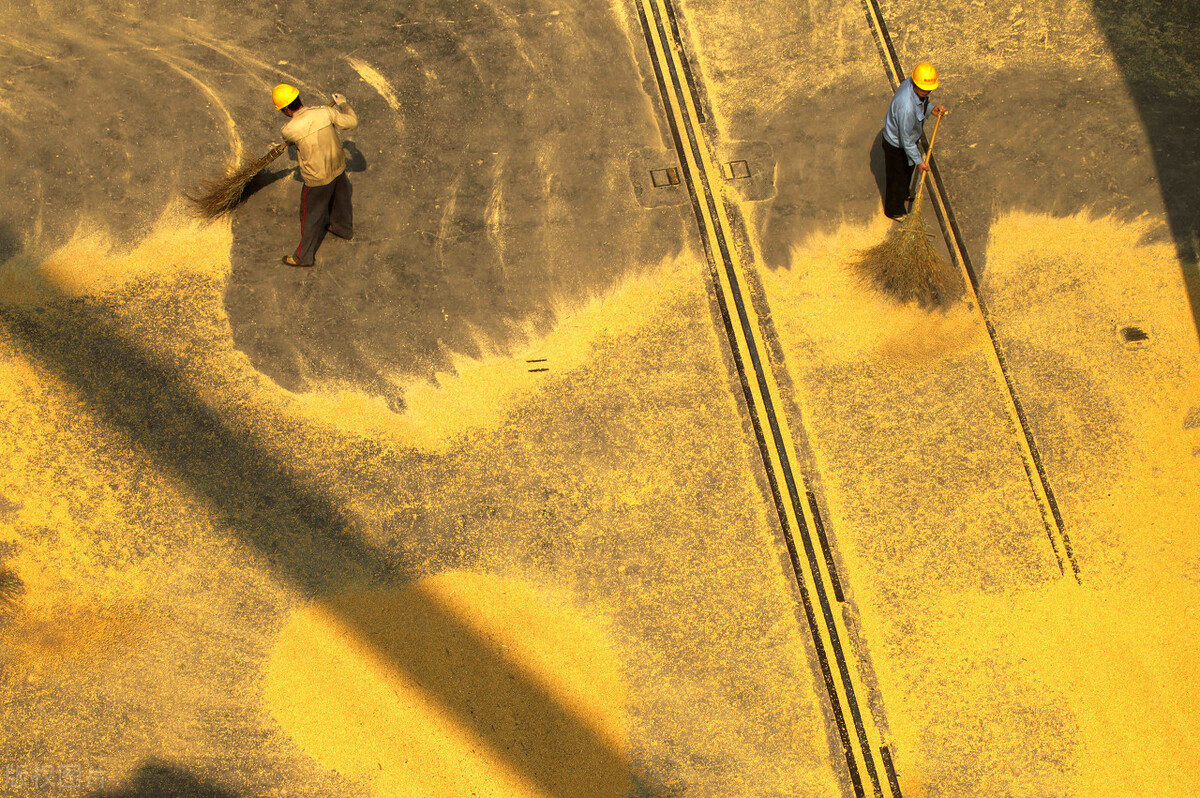 大豆磷脂有什么用,大豆磷脂怎么添加到原料里