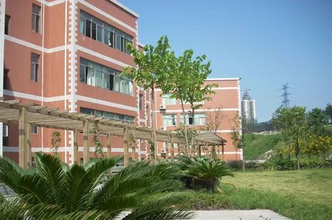 重庆哪个板块教育好,重庆学区最好的片区