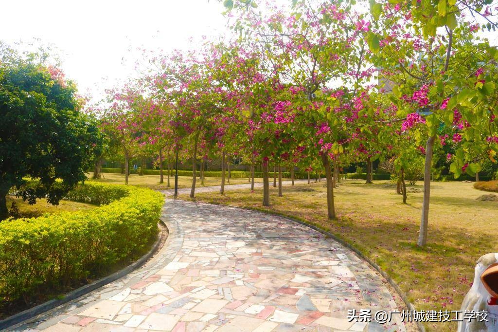 校园环境的简介,校园环境篇