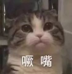 冬天宝宝皮肤粗糙颗粒状像鸡皮痒,猫咪肉垫上有个硬硬的是什么东西