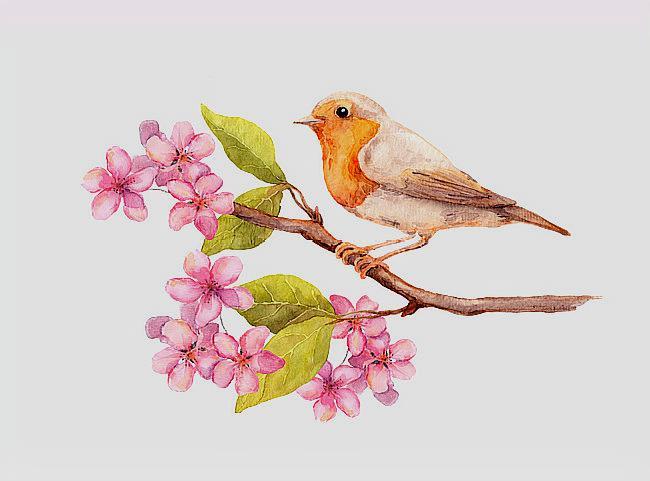 红楼梦插曲葬花吟花谢花飞花满天,红楼如梦葬花吟