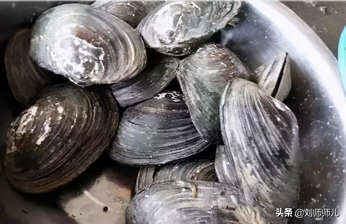 淡水珍珠怎么保养更亮,淡水珍珠真假辨别方法