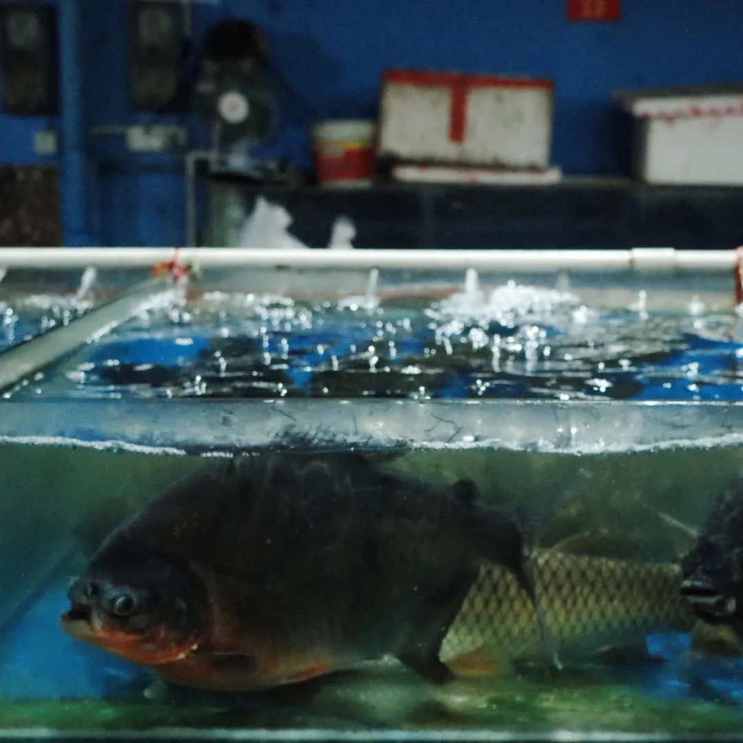 南宁最好的批发市场,南宁最便宜的家具批发市场在哪里