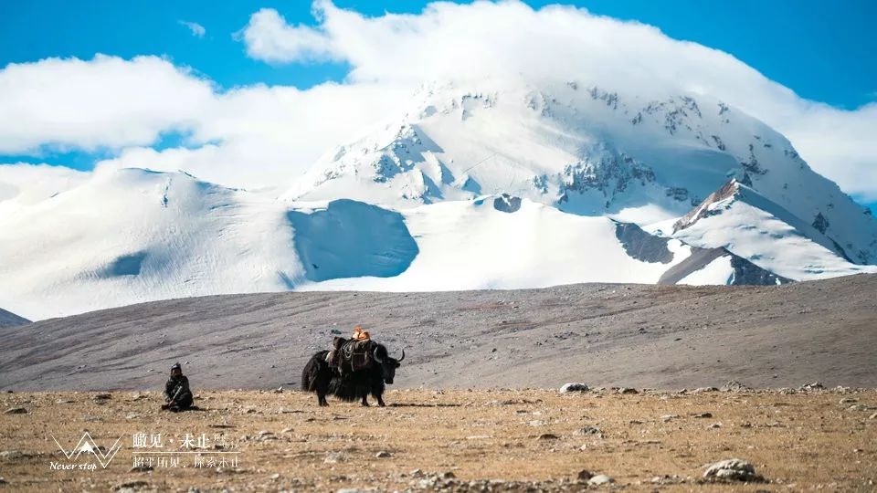希夏邦马环线徒步8日行程,户外徒步希夏邦马峰大环线视频