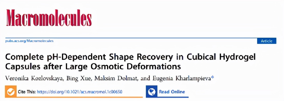 macromolecules怎么样,macromolecules是什么