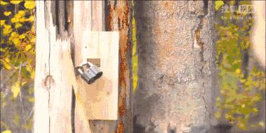 盘点电影中的花式开锁,电影中的一枪开锁在现实能做到么