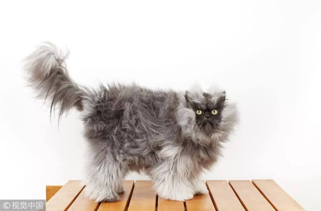 没有一个女孩，逃得过这七个圈套