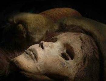 颤抖吧凡人全文,颤抖吧凡人的视频