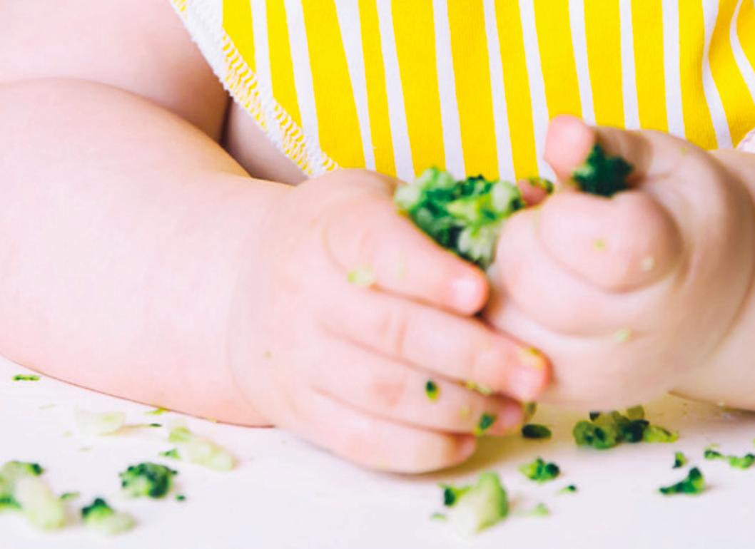 最新美国辅食指南,中国膳食指南2019版辅食