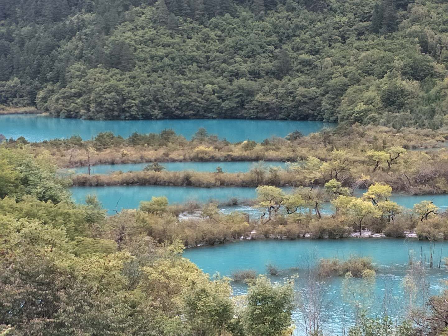 九寨沟旅行行程表图片高清大图,九寨沟之旅全集