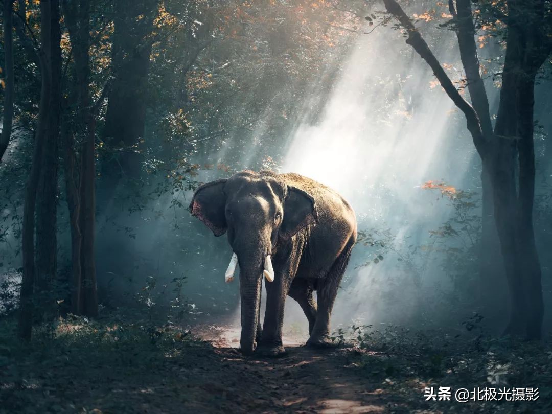 手机摄影的八大功能,手机摄影的几种功能