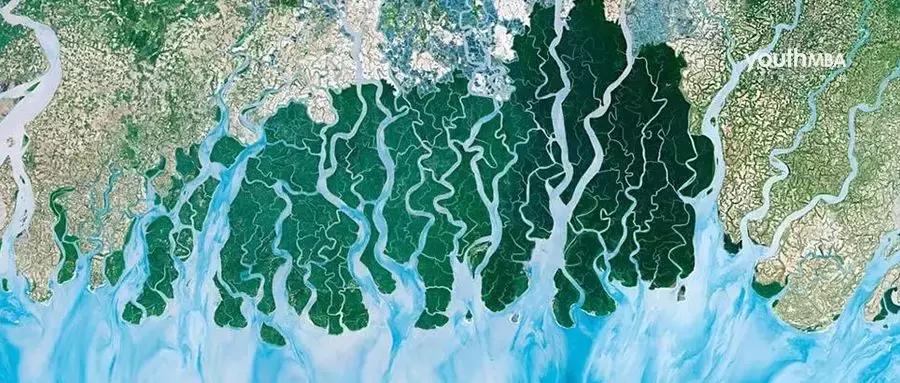 这部BBC纪录片一开播就拿下9.5高分，除了美更培养了孩子的世界观