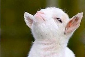 欧洲最难相处的国家,欧洲最难相处的地方