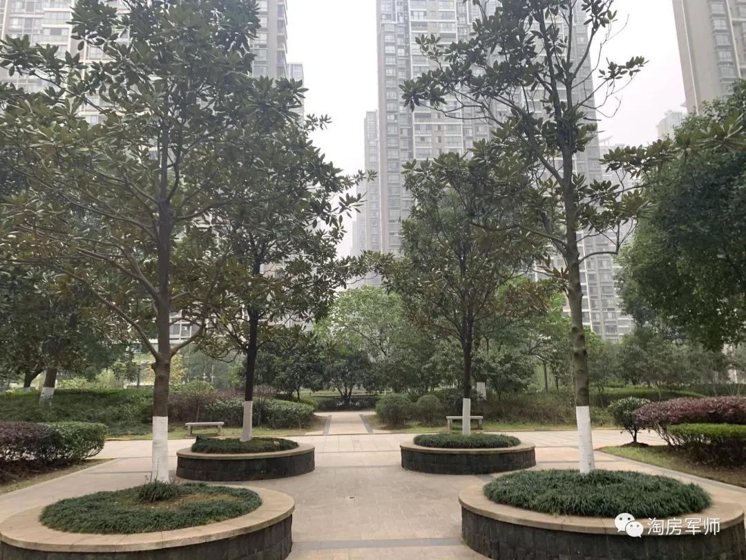 踩盘五矿壹云台,踩盘保利滨江和著