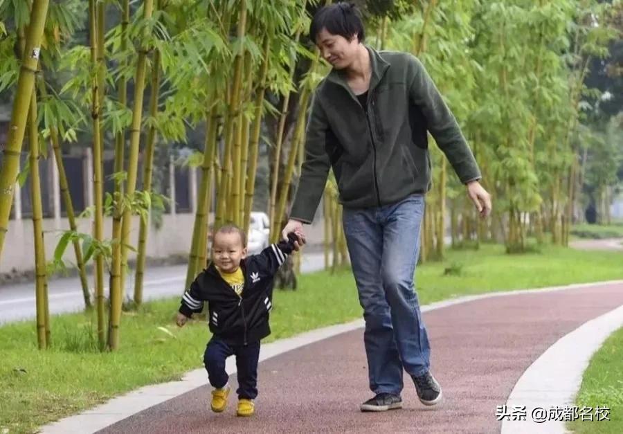 成华区新建湿地公园有哪些,成华区的综合性公园有哪些