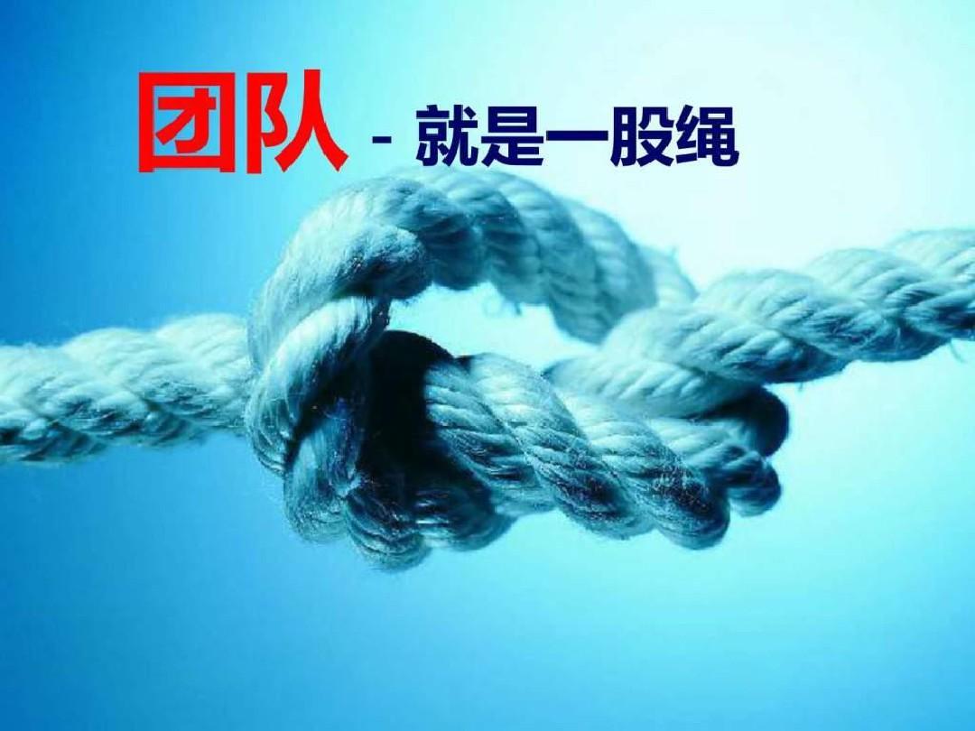 新手投资创业该如何开始,创业投资的技巧和方法