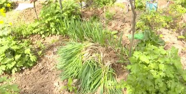 和谐佳苑小区最新消息,和谐佳苑拆迁