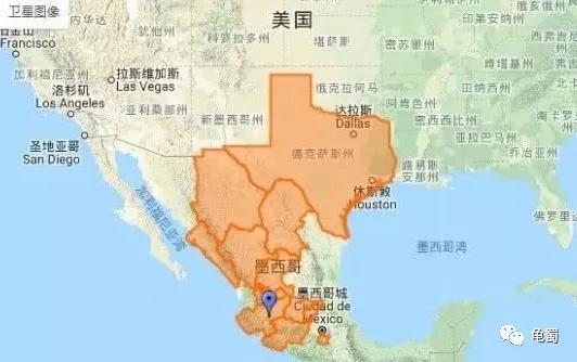 黄泽泥龟为什么冷门,泥龟冷门品种