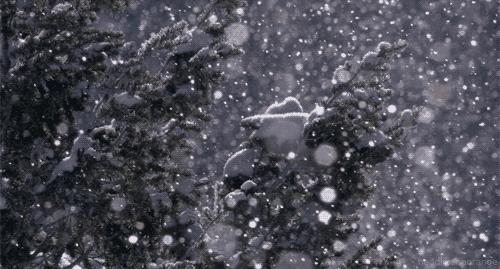 别瞎忙了！真正的好皮肤是这样养出来的！