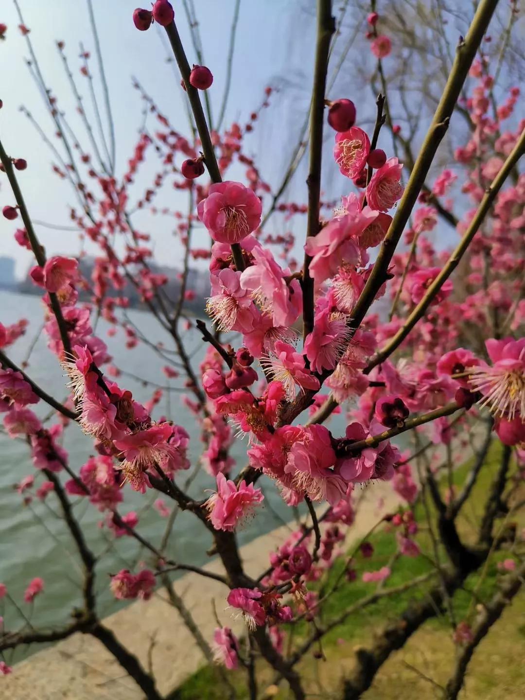 有了家庭的你，如果再现“桃花运”该如何处理？