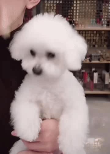 明星双十一排行,女明星和双十一