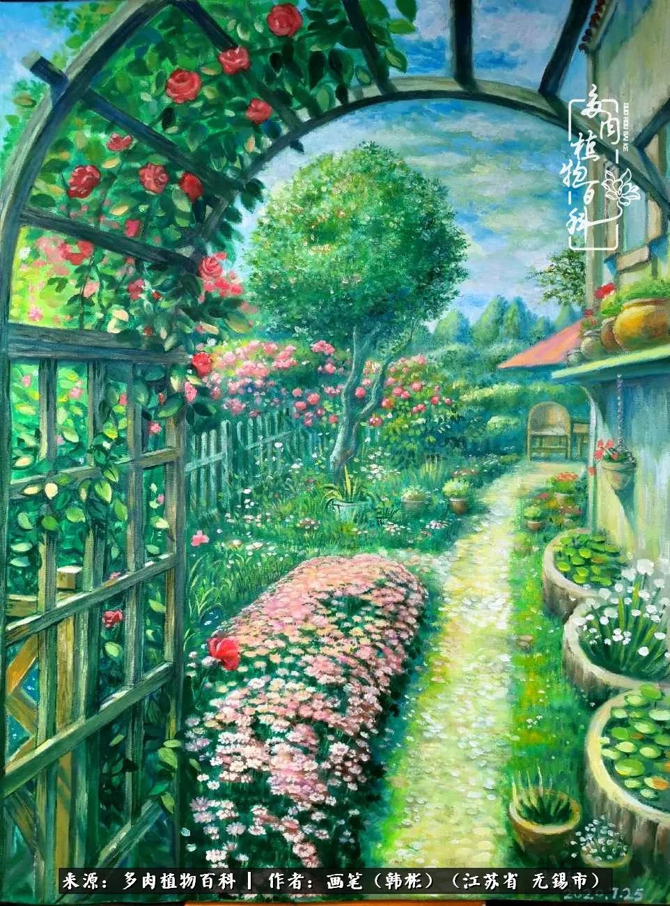 阳台多肉花园简直美翻了,适合男生养的多肉