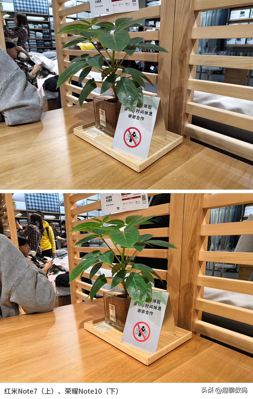 红米note7拍照评测,红米note7拍照对比红米note7pro