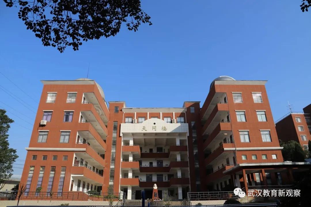 初中各科宝藏资料库,武昌区重点小学排名前十名