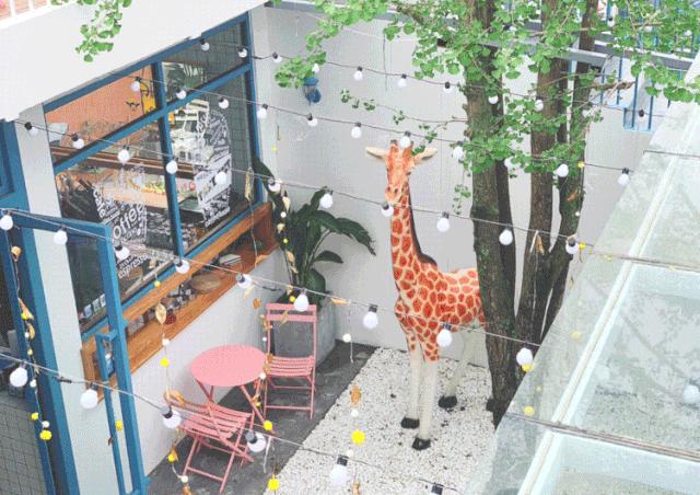 成都值得打卡的民宿便宜,成都最值得住的网红打卡地