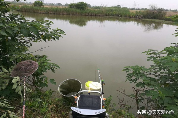 冬天钓鱼技巧与饵料,秋季钓鱼不上钩怎么回事