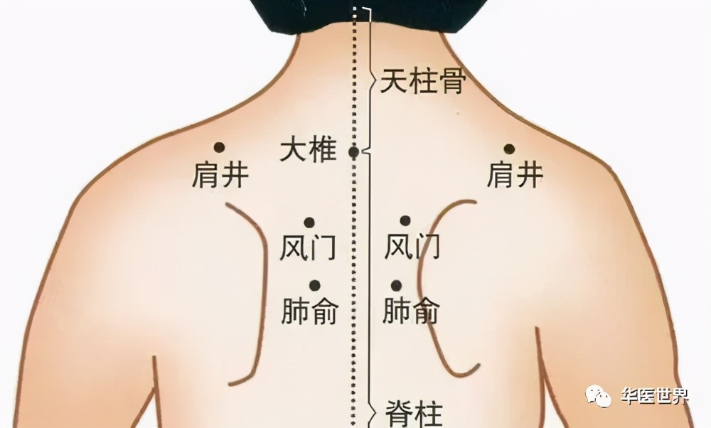 督脉颈椎病针灸穴位,颈椎病针灸哪两个穴位见效最快