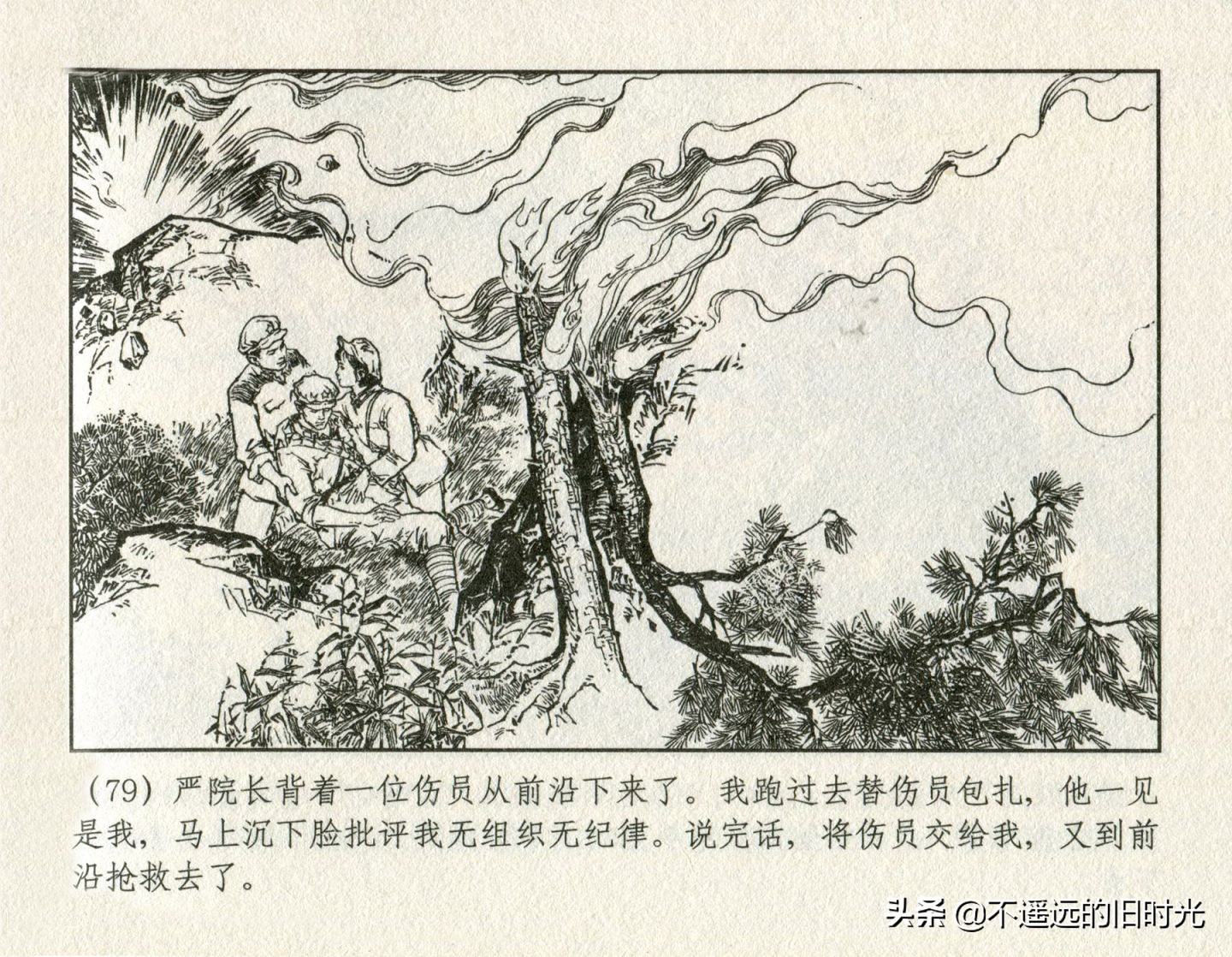 朝阳花-上海人民美术出版社1981初版2016再版陆成法陆小弟绘