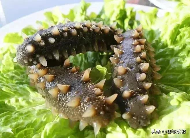 山东聊城免费领礼品,山东省聊城市扫码免费领礼品