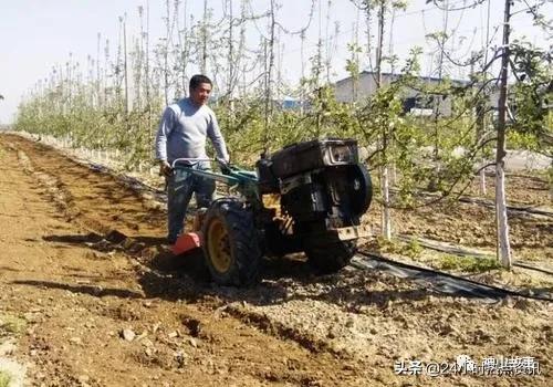 庄户人家一一那扶犁的爹呀灯影里的娘
