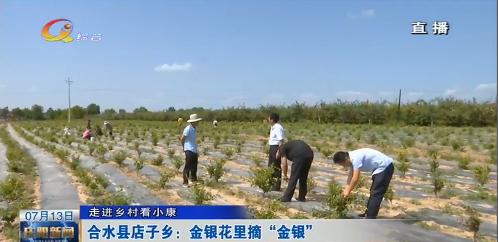 你好新闻,庆阳当日新闻