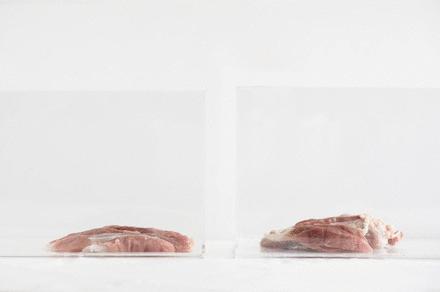 德国排名第一的医疗品牌推出无需插电杀菌棒，实验亲测是否有效