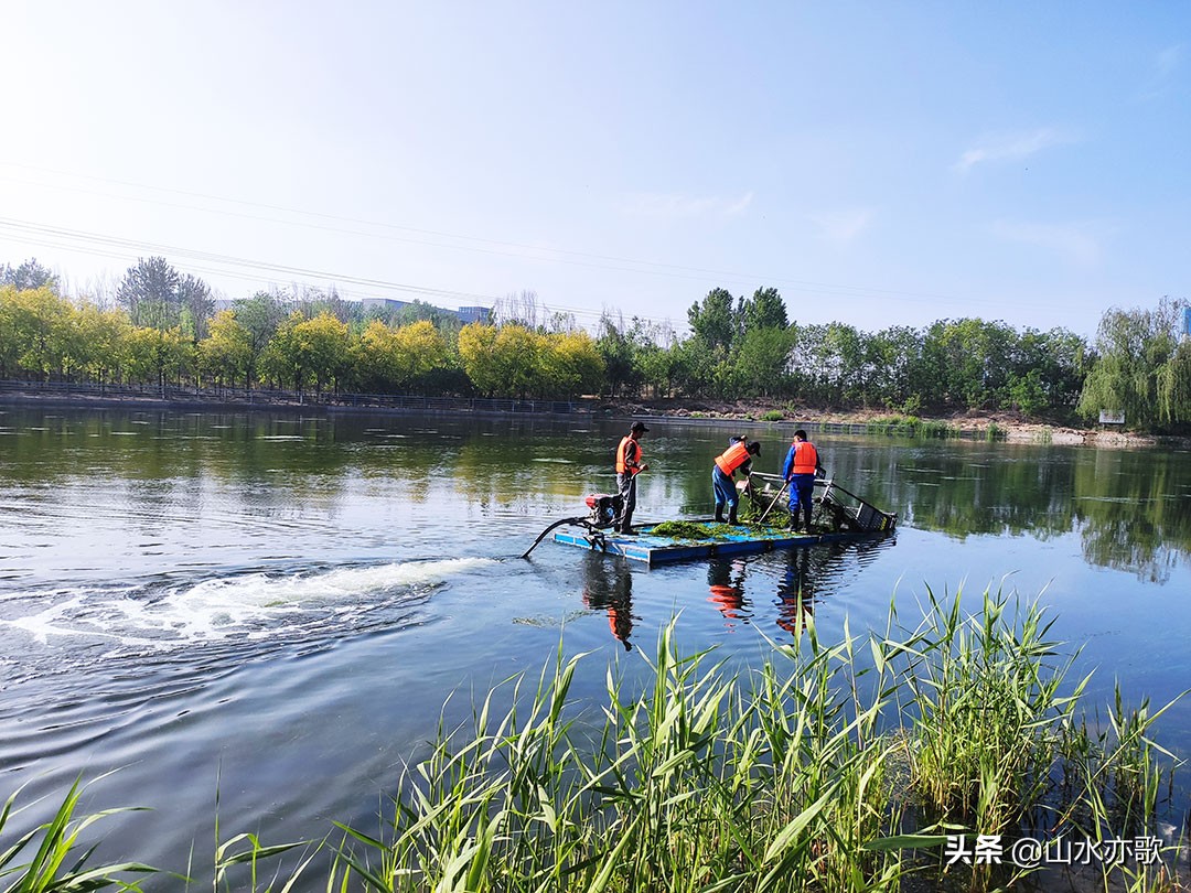 石家庄高新区这座公园，绿草茵茵电船驰行，还有两座别致的网红桥