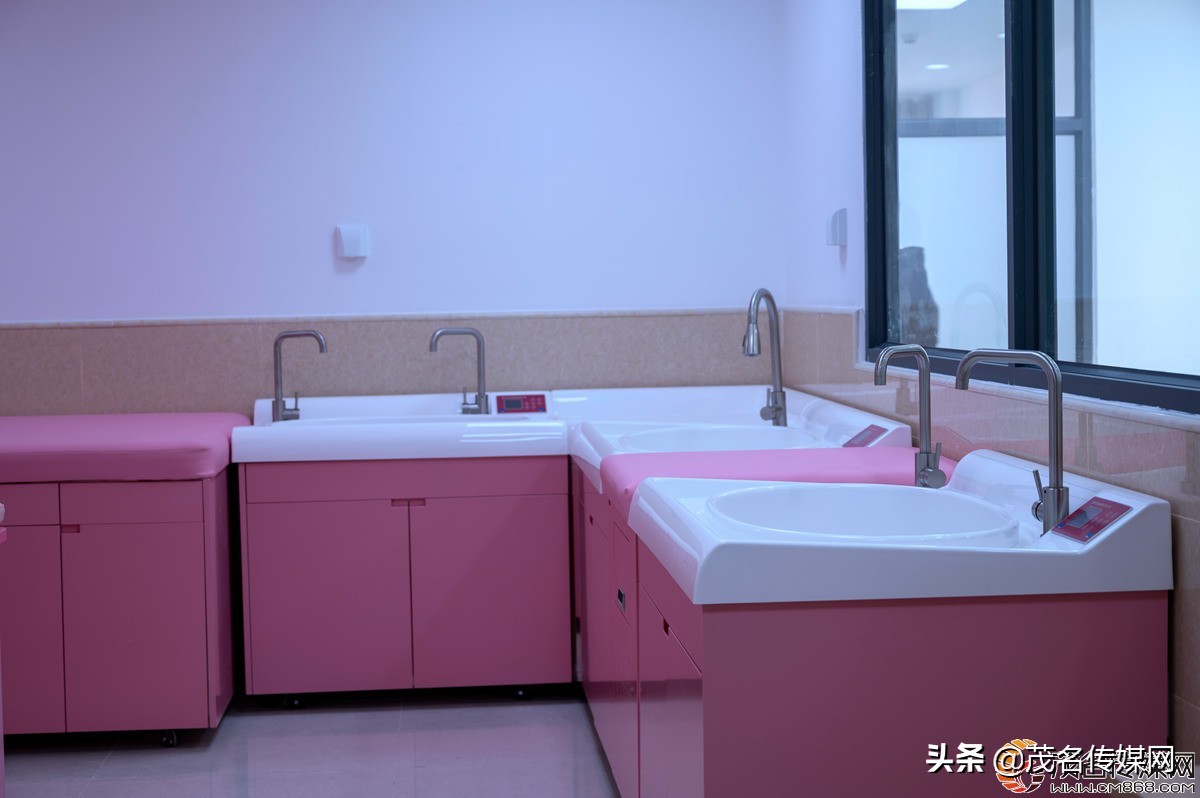 电白在崛起！——2021网络媒体看滨海（电白）采风活动