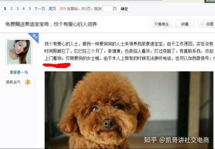 揭秘分享新手微商怎么加人,新手微商如何快速引流呢
